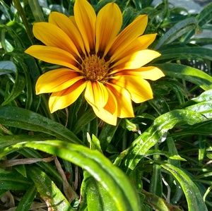 Meet your Posher, Eve